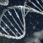 हैदराबाद: सीसीएमबी के वैज्ञानिकों ने पुरुष प्रजनन क्षमता में महत्वपूर्ण भूमिका वाले 8 नए जीनों की पहचान की